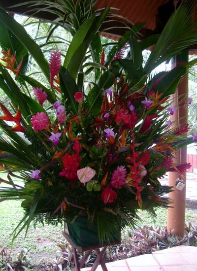 Schöner Blumenschmuck in der Lodge