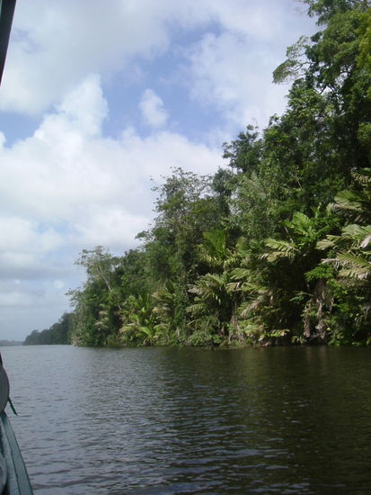 Kanal im Nationapark