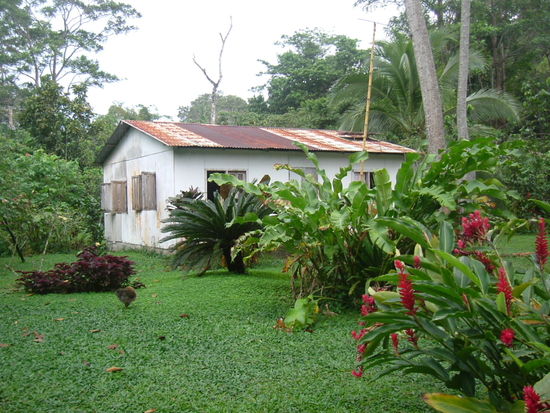 Im Dorf Tortuguera
