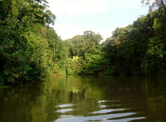 Was für eine Idylle!