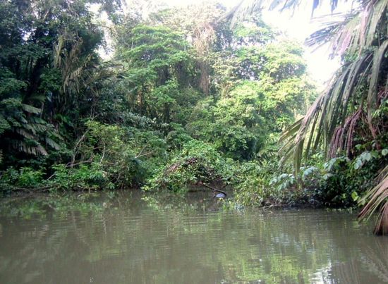 Ideal für alle Wassertierarten...