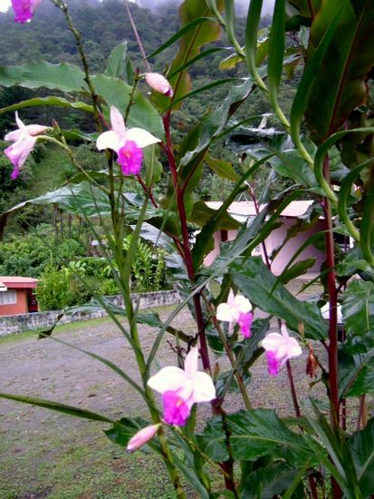 Lichtblick bei dem schlechten Wetter