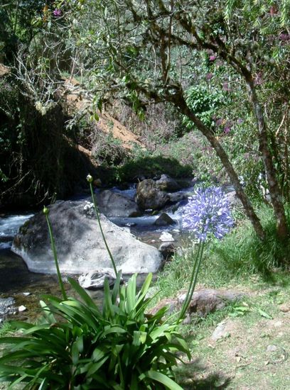 In der Nähe der Lodge