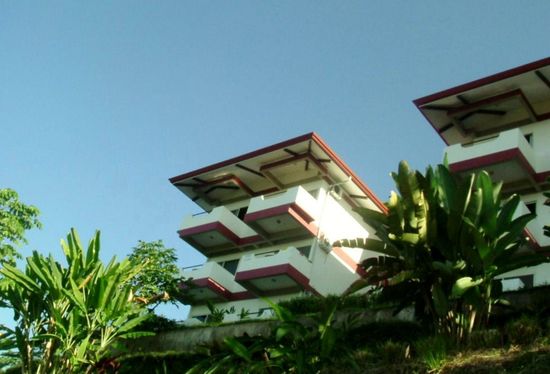 "Whales and Dolphins"