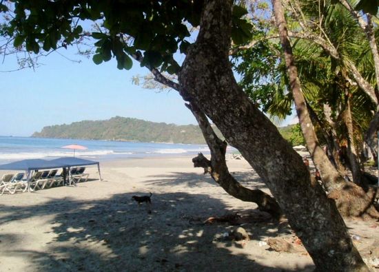 Strand ausserhalb des Nationalparks