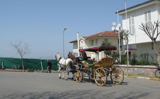 In Büyükada