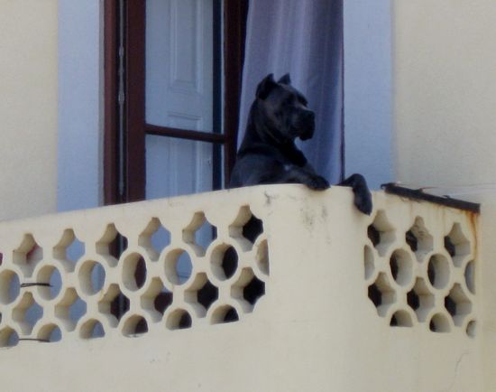 Hier wache ich - vom Bus aus gesehen....