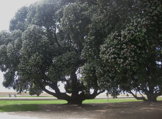 Wie alt mag er wohl sein?