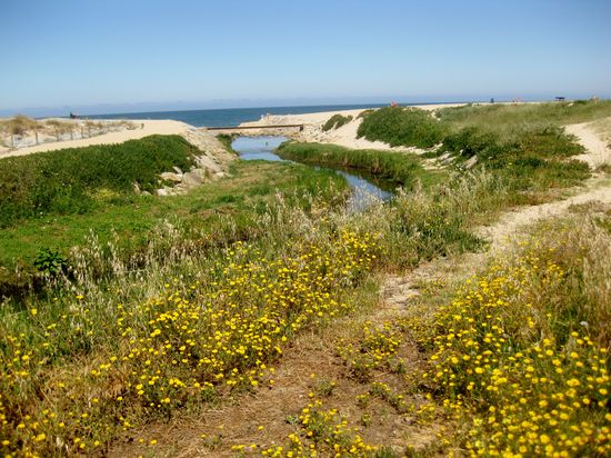 Wunderschöne Dünenlandschaft