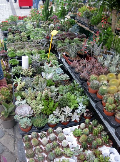 Was für eine Auswahl