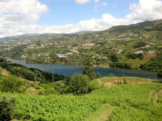 Blick vom Hotel auf den Douro