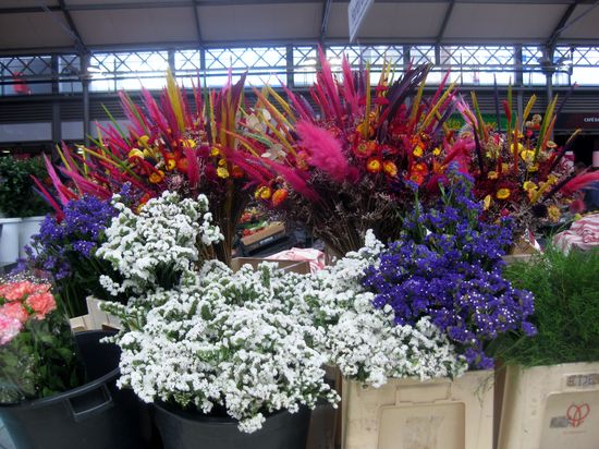 So wunderschöne Blumen