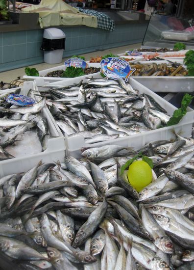 Sardinen, Sardinen...