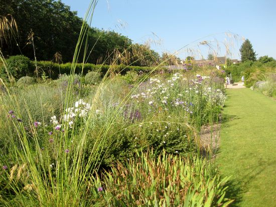 Gräser im Wolkenzimmer