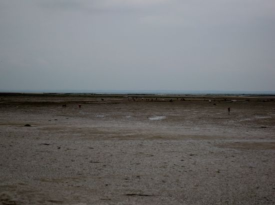 Ebbe an der Passage de Gois