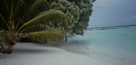 Einfach nur traumhaft und direkt vor dem Bungalow