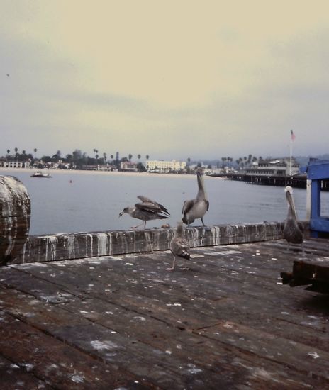 Auf dem Pier in Monterey