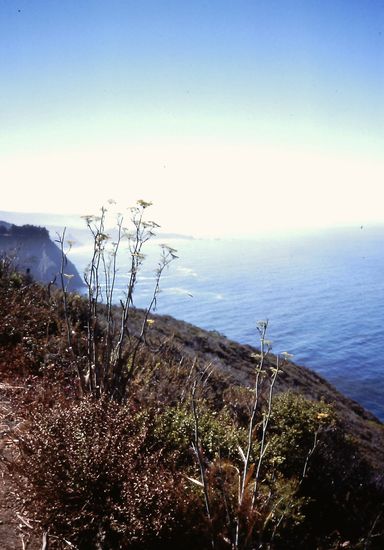 Küstenregion am No. 1