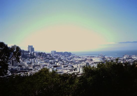 Blick vom Telegraph Hill auf die Stadt und die Bay Bridge