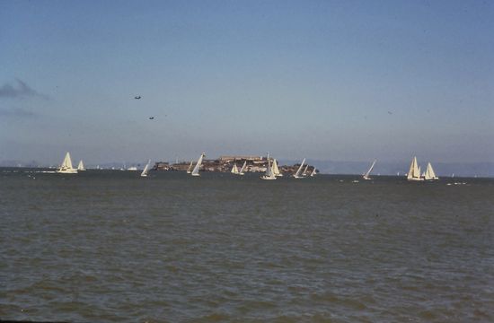 Segeln rund um Alcaatraz