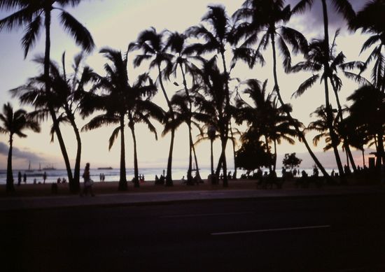 Abends in Waikiki