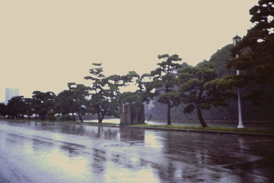 Bei den Imperial East Gardens