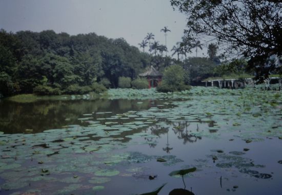 Im Botanischen Garten