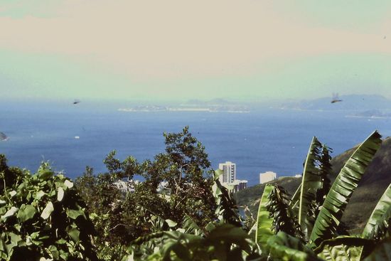 Blick vom Victoria Peak