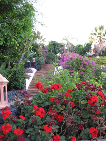 Garten im La Palma Jardin