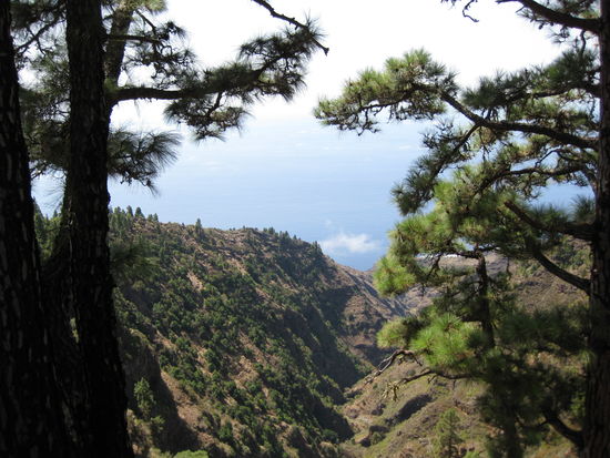 Auf dem Weg zum Roque de los Muchachos