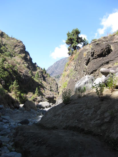 Barranca de las Angustias