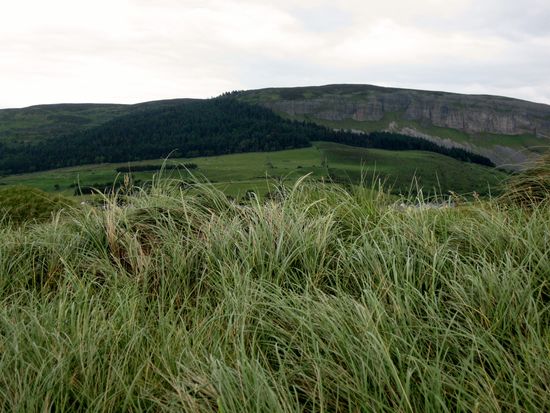 Landschaft bei Strandhill