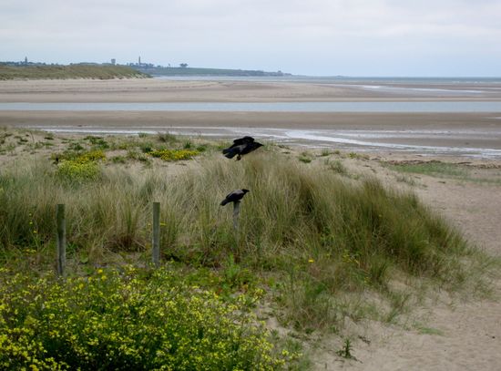 Strand in Malahide