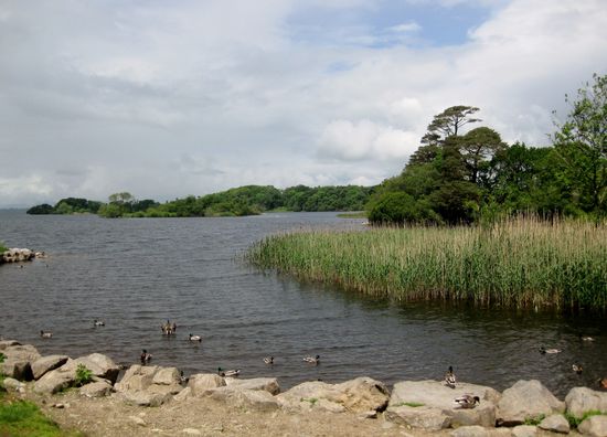 Am Lough Leane