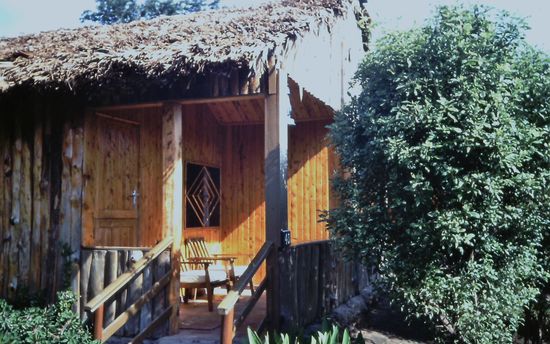 Unsere Cabin im Fig Tree Camp