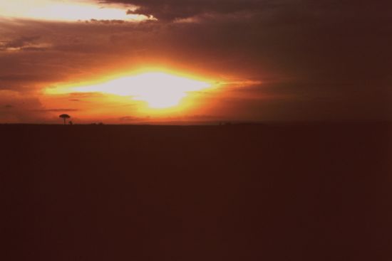 Sonnenuntergang in der Massai Mara
