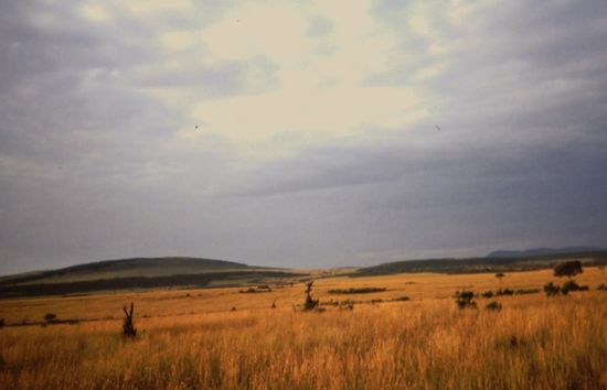 Kwa Heri Massai Mara