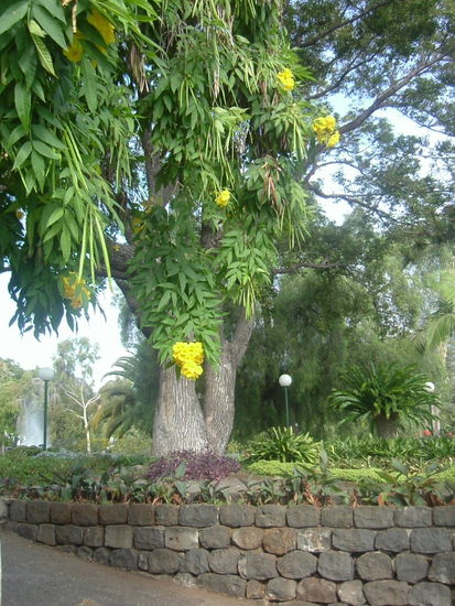 Parque Santa Catarina