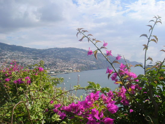 Blick vom Parque Santa Catarina