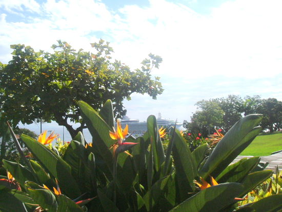 Parque Santa Catarina