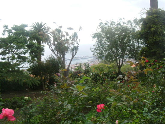 Im Botanischen Garten