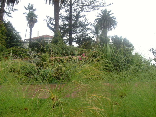 Im Hintergrund das ehemalige Herrenhaus