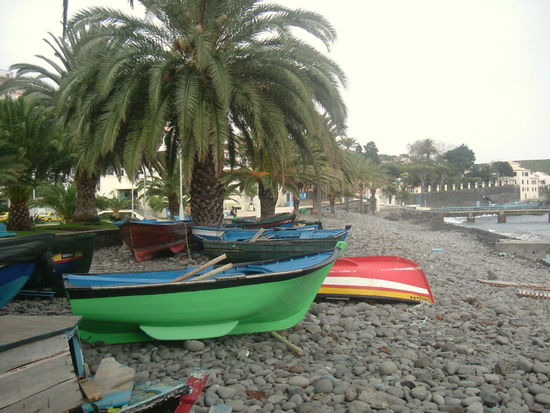 Fischerbotte in Santa Cruz