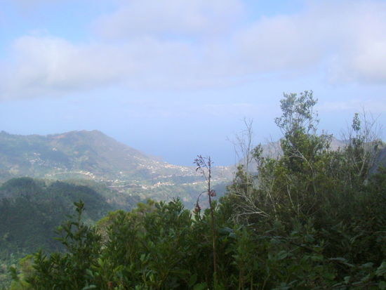Blick auf die Küste von der Levada do Furado