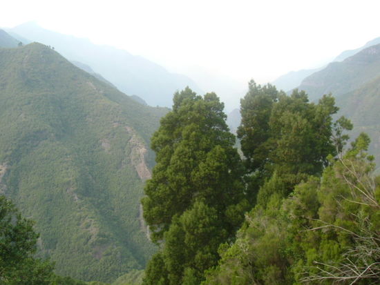 Curral das Freiras (Nonnental)