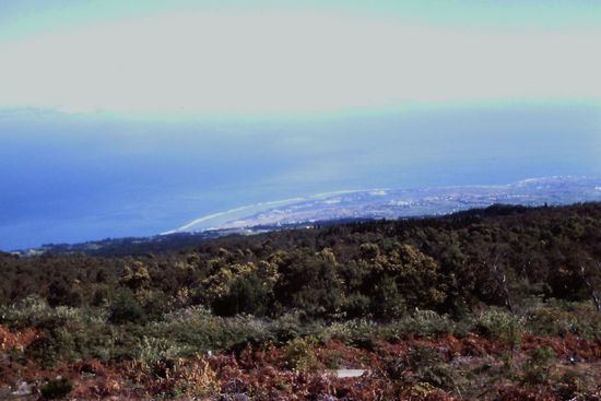 Blick auf die Küste