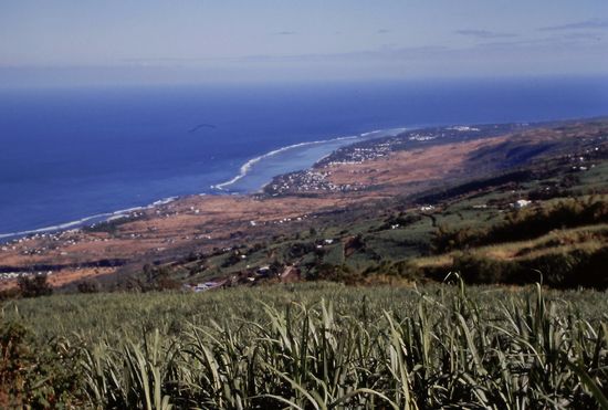 Blick auf die Küste