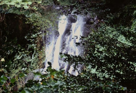 Wasserfall an der Anse des Cascades