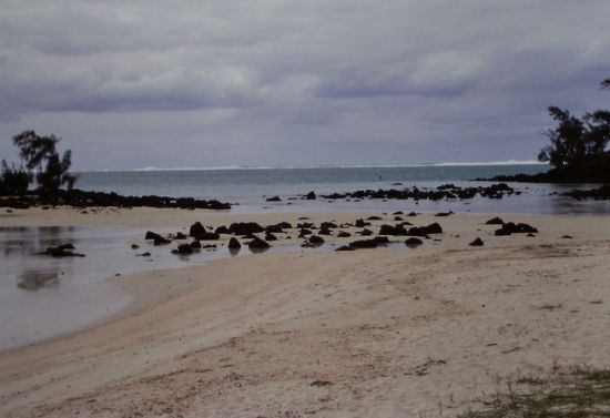 Strand Ile aux Cerfs