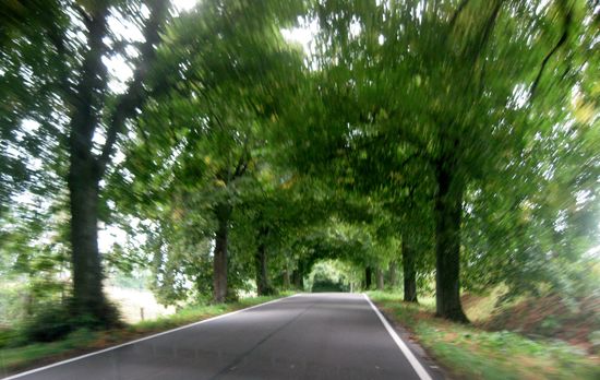 Schattenallee